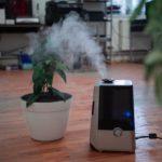 Are Air Purifiers Really Worth It?