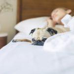 Importance of Sleep for College Students