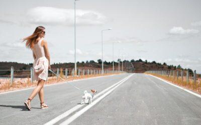 Benefits of Walking as Exercise