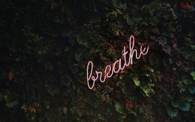 How Does Mental Health Affect Physical Health?