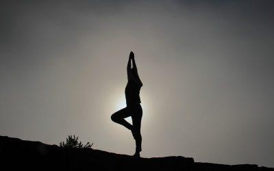 Best Wellness Program for an Individual