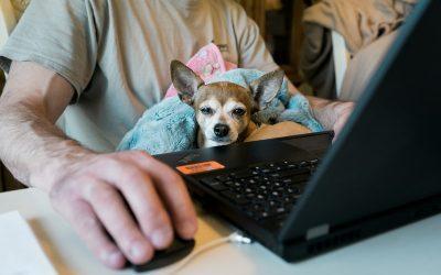 How to Engage Remote Employees