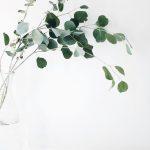 Natural Remedies for Anxiety
