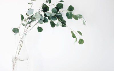 Natural Remedies for Anxiety