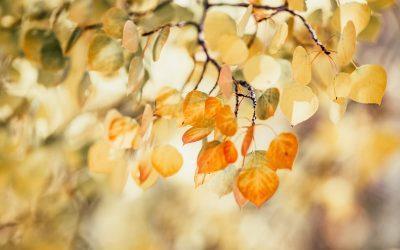 Make September Your Best Month Yet