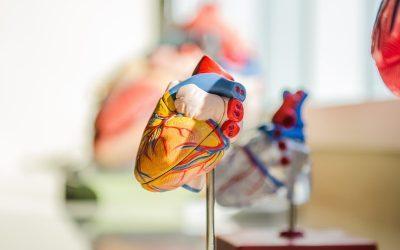 How Does Exercise Prevent Heart Disease