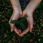 how to be more environmentally conscious