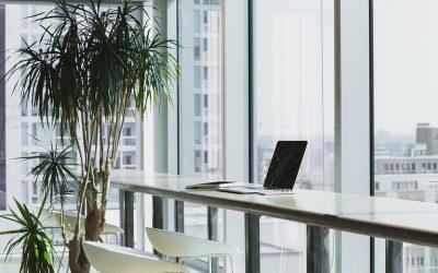 Building Psychological Safety at Work