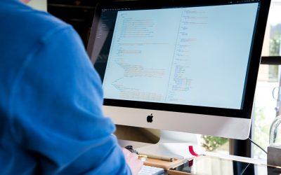 What are Employee Wellness Programs