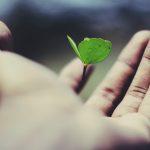 Cultivate a Growth Mindset