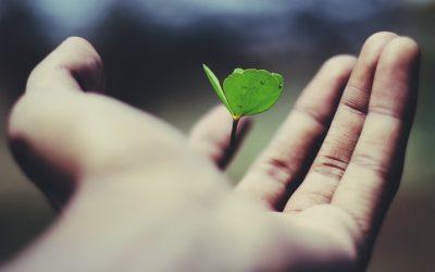 Cultivate a Growth Mindset