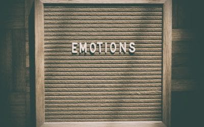Emotional Regulation Skills