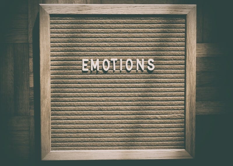 emotional regulation skills