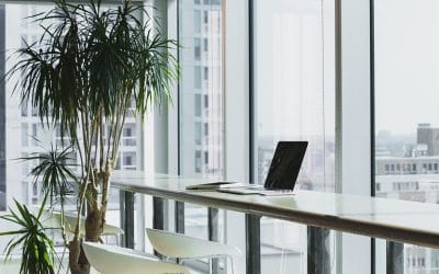 Green Office Ideas