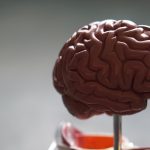 What is Executive Function?