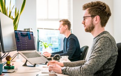 What is the Optimal Work Environment?