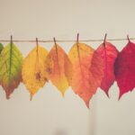 How Seasonal Changes Can Affect Mental Health