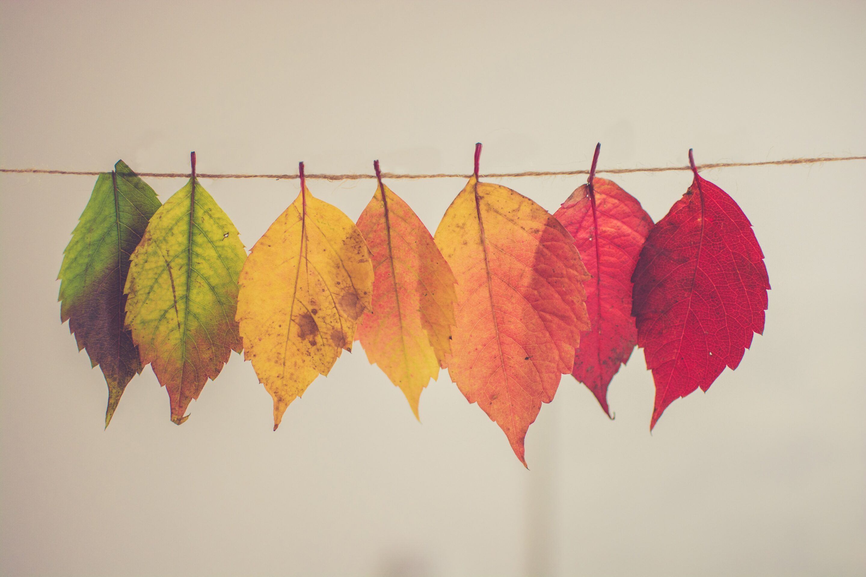 How Seasonal Changes Can Affect Mental Health