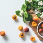 What are the 6 Essential Nutrients?