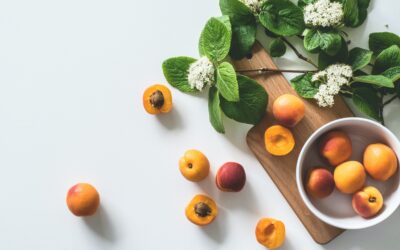 What are the 6 Essential Nutrients?