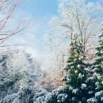 How to Stay Motivated in the Winter