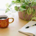 Improve Your Daily Action Plan