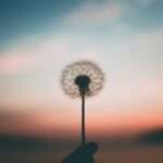 How to Train Your Mind to Be Mindful