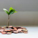 What is the Average Cost of a Corporate Wellness Program?