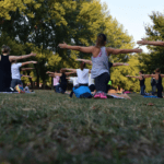 Why It's Important For A Wellness Program To Offer Variety
