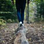 how to create balance in your life